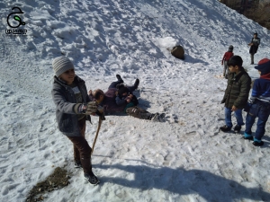 خانواده بزرگ شهید چمران اردوی طبیعت گردی و آشتی با طبیعت با جستجو در میان برف ها