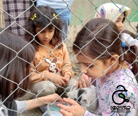 دخترانه پیش پاییز 1403
