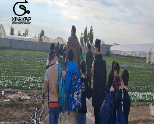پسرهای کلاس چهارمی چمرانی