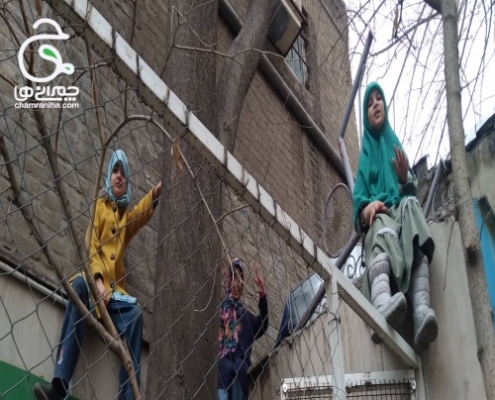 دخترهای کلاس سومی چمرانی، زمستان 1403