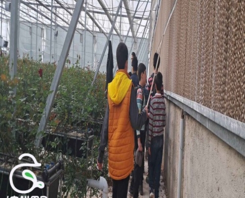 پسرهای کلاس چهارمی چمرانی