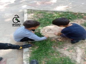 اهمیت اوقات فراغت