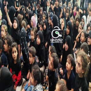 فعالیت زیاد در تابستان