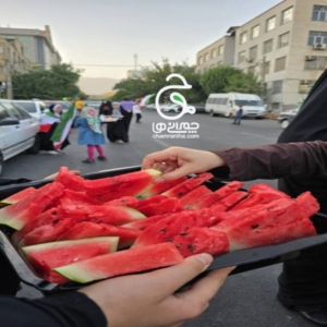 خانواده بزرگ شهید چمران گزارش تصویری از موکب‌ها در دهه اول محرم