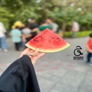 خانواده بزرگ شهید چمران گزارش تصویری از موکب‌ها در دهه اول محرم