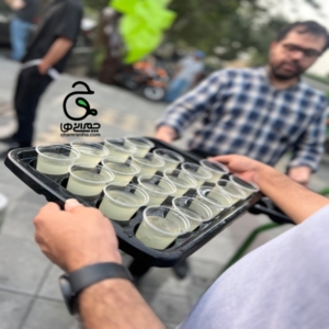 خانواده بزرگ شهید چمران گزارش تصویری از موکب‌ها در دهه اول محرم