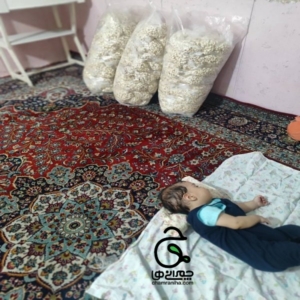 خانواده بزرگ شهید چمران گزارش تصویری از موکب‌ها در دهه اول محرم