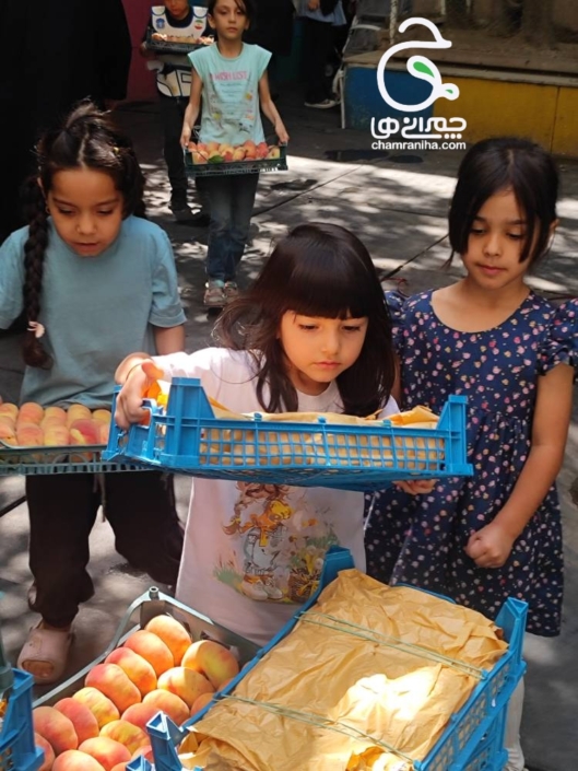 خانواده بزرگ شهید چمران گزارش تصویری چهل دیگچه در 17 ربیع الاول