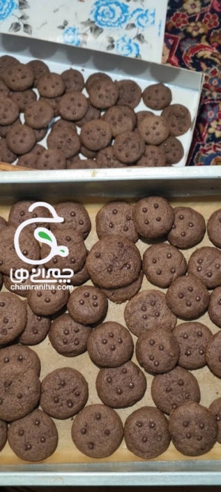 خانواده بزرگ شهید چمران گزارش تصویری چهل دیگچه در 17 ربیع الاول