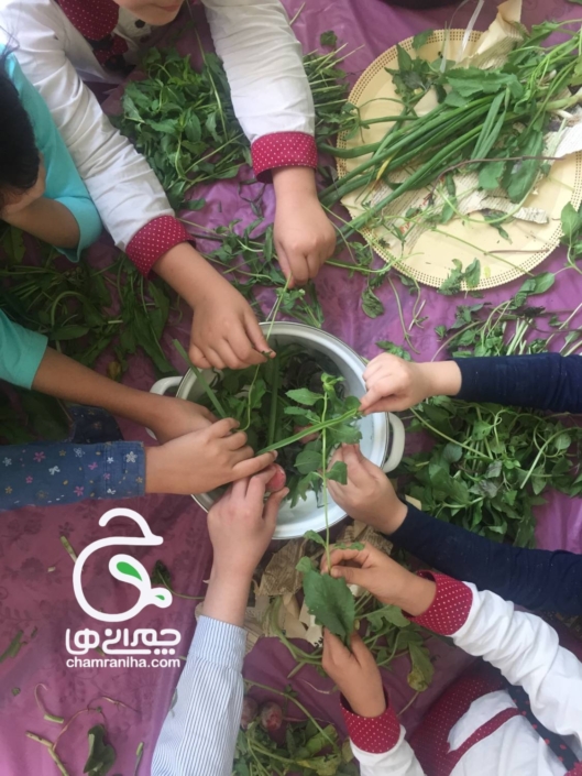 خانواده بزرگ شهید چمران لقمه نذری؛ تجربه‌ای خوشمزه برای یادگیری مهارت‌های زندگی